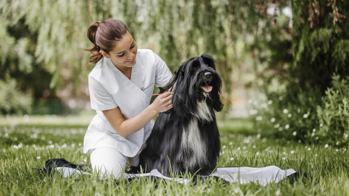 Prolongez efficacement la durée du shampoing de votre chien grâce à cette méthode
